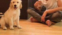 Ngopinya ditemani dengan anjing kesayangan Lee Jung Shin. Foto: Instagram @leejungshin91