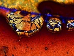 Bikin Terperangah! Ketika Benda-benda Dilihat dari Mikroskop