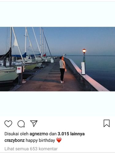 Bukan Chris Brown, Inikah Kekasih Baru Agnez Mo?