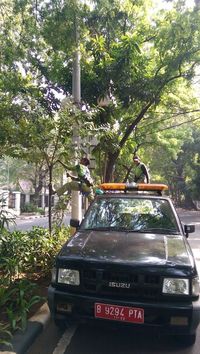 Jelang Asian Games, Dahan Penghalang CCTV di Jakarta Dipangkas