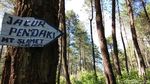 Perjuangan Menapaki Gunung Tertinggi Kedua di Pulau Jawa