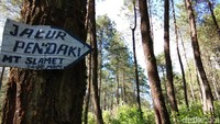 Selama ini, Guci lebih terkenal sebagai tempat wisata pemandian air panas, bukan  sebagai jalur pendakian. Tapi itu bukan halangan. Dari Guci, jalur pendakian ke puncak lokasinya melewati akses menuju air terjun. (Muhammad Idris/detikTravel)