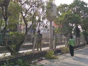 Jelang Asian Games, Dahan Penghalang CCTV di Jakarta Dipangkas