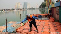 Bersih-bersih sampah di Danau Sunter ini pun merupakan salah satu upaya Pemerintah Provinsi Jakarta untuk merevitalisasi Danau Sunter agar lebih bersih dan nyaman bagi warga DKI Jakarta.