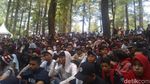 Foto: Kemping Sambil Nonton Konser Musik di Hutan Malino