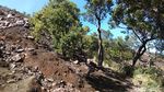 Perjuangan Menapaki Gunung Tertinggi Kedua di Pulau Jawa