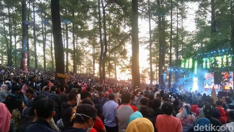 Kemping di Hutan Malino, Gowa (Muhammad Taufiqqurrahman/detikTravel) Kemping di Hutan Malino, Gowa (Muhammad Taufiqqurrahman/detikTravel)