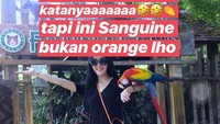 Syahrini dituduh menggunakan tas Hermes kw atau palsu oleh seorang netizen. Foto: Ismail/detikFoto