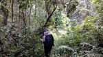 Perjuangan Menapaki Gunung Tertinggi Kedua di Pulau Jawa