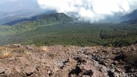 Bagi pendaki berpengalaman sekalipun, trek pasir di pucuk Gunung Slamet tak bisa disepelekan. Jalurnya yang curam, dengan minimnya batu yang bisa dijadikan pijakan, membuat pendaki terpaksa harus beberapa kali harus merayap. (Muhammad Idris/detikTravel)