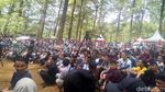 Foto: Kemping Sambil Nonton Konser Musik di Hutan Malino
