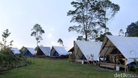 Inilah Family Adventure Camp, yang berada di Kawasan Obyek Wisata Glamping Lakeside Rancabali. Di sini, traveler bisa menjajal sensasi menginap di outdoor. (Wisma Putra/detikTravel)