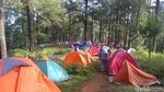 Foto: Kemping Sambil Nonton Konser Musik di Hutan Malino