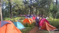 Kemping di acara Beautiful Malino berlangsung selama dua hari, mulai tanggal 14 -15 Juli, 2018. Malino terletak di dataran tinggi Kabupaten Gowa yang berjarak sekitar 3 jam dari Kota Makassar (Muhammad Taufiqqurahman/detikTravel) no 1