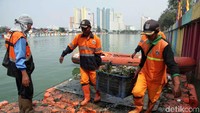 Sejumlah petugas Penanganan Prasarana dan Sarana Umum (PPSU) membersihkan sampah di Danau Sunter, Jakarta Utara, Senin (16/7/2018).