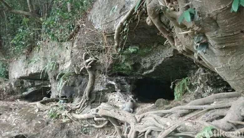 Ini Penampakan Gua Sarang Ular Sanca di Mojokerto Ini Penampakan Gua Sarang Ular Sanca di Mojokerto