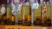 Cara pembuatannya, toples diisi terlebih dulu oleh sari beras yang sudah difermentasikan. Lalu ditambah dengan rempah-rempah dan madu satu ular viper dimasukan ke dalamnya (Masaul/detikTravel)