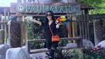 Selebriti Vs Netizen, Mulai Tas KW hingga Body Shaming