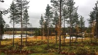 Wilderness Hotel, Nellim, Finlandia. Hotel ini terletak 260 kilometer di utara Lingkaran Arktik. Kabin kayu bersauna sendiri membuatnya jadi ideal untuk bersantai di saat musim dingin (CNN Travel)