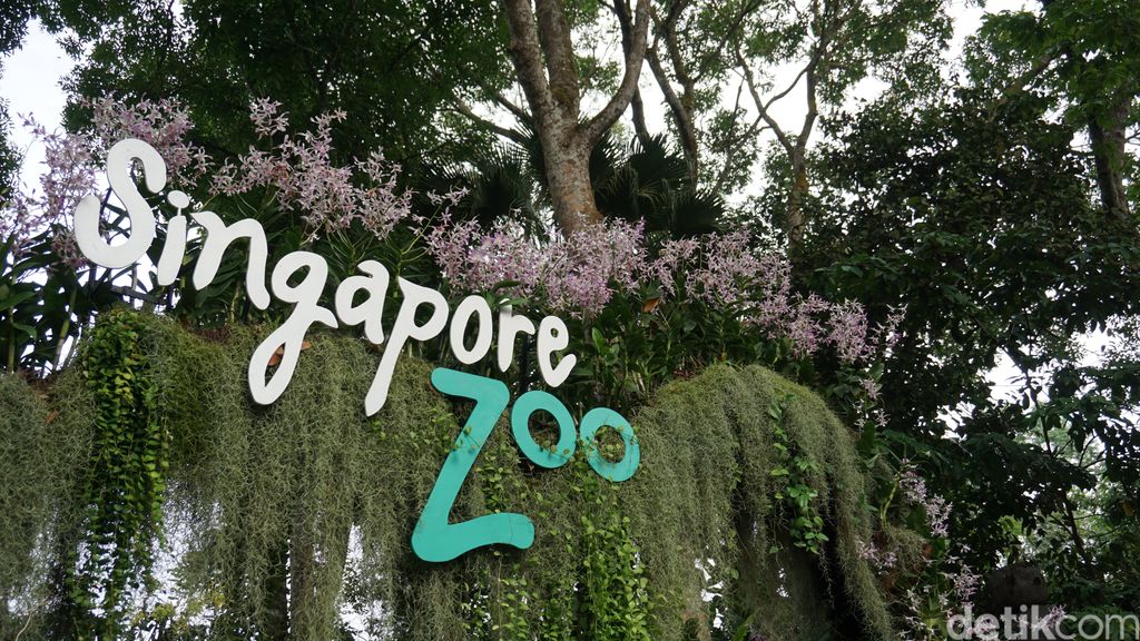 SIngapore Zoo
