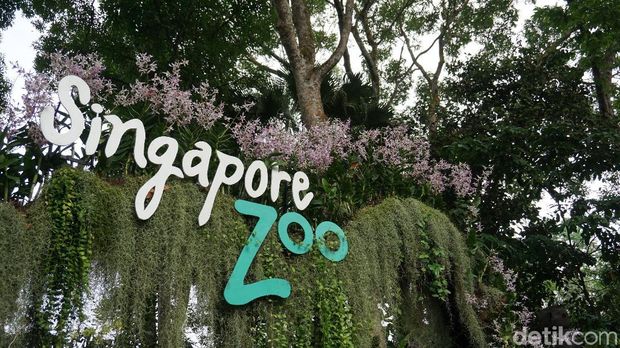 SIngapore Zoo