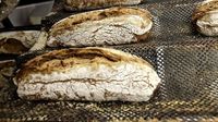 Para Arkeolog Temukan Roti Tertua di Dunia dari Ribuan Tahun Lalu