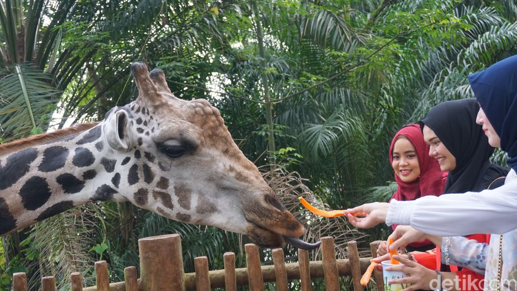 SIngapore Zoo