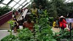 Foto: Melihat Taman Indoor Raksasa Kebanggaan Singapura