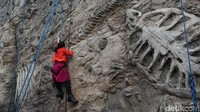 Bagi yang suka wall climbing, ada tempatnya lho di sini (Shinta/detikTravel)