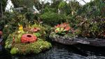 Foto: Melihat Taman Indoor Raksasa Kebanggaan Singapura