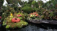 Foto: Banyak juga lho spot foto menarik di sini, seperti aneka bunga yang satu ini contohnya (Shinta/detikTravel)