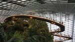 Foto: Melihat Taman Indoor Raksasa Kebanggaan Singapura