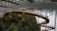 Foto: Di bagian Cloud Forest, ada jembatan keren yang bisa dinaiki. Juga cocok untuk spot foto (Shinta/detikTravel)