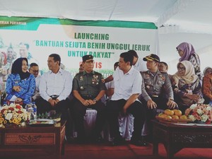 Bagikan Sejuta Bibit Unggul, Mentan Ingin RI Bisa Ekspor Jeruk