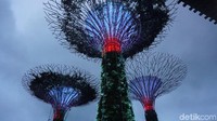 Gardens by The Bay merupakan taman buatan di Singapura. Meski dikenakan biaya, kawasan Supertree Grove bisa dikunjungi secara gratis, bahkan ada pertunjukan lampu-lampu cantik setiap pukul 19.45 (Shinta/detikTravel)