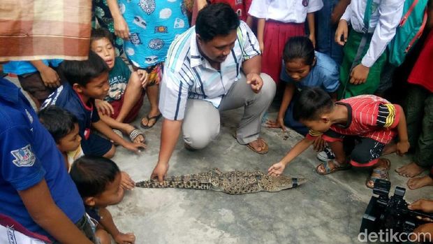 Warga Tangkap Buaya di Sungai Deli Medan