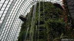 Foto: Melihat Taman Indoor Raksasa Kebanggaan Singapura
