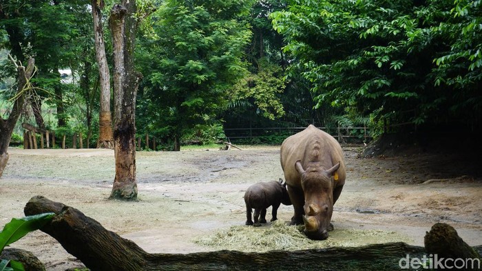 SIngapore Zoo