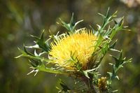 (Tourism Western Australia)