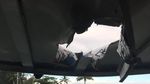 Penampakan Kapal Wisata yang Terkena Bom Lava di Hawaii