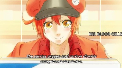 Ketika Sel Dalam Tubuh Diilustrasikan Sebagai Tokoh Anime Lucu