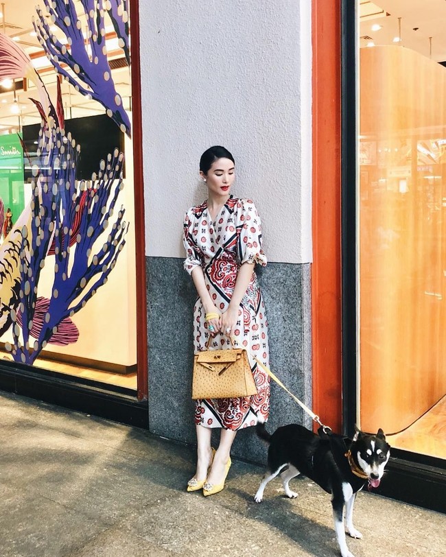 Heart Evangelista bergaya stylish menenteng tas Hermes Kelly ostrich yang harganya mencapai Rp 250 jutaan bersama anjing kesayangannya. Foto: Instagram