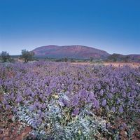 (Tourism Western Australia)