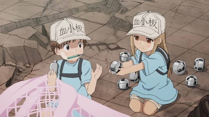 Anime yang menceritakan kehidupan sel dalam tubuh.