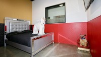 Kamar ini sudah termasuk menu makanan bergizi bagi si anjing. Traveler tidak perlu khawatir lagi. Ada juga layanan spa dengan biaya sekitar Rp 1 jutaan per sesi. (Barkingham Pet Hotel)