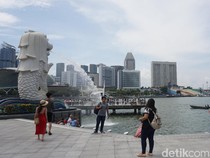 Monyet Langka yang Kabur 6 Bulan Lalu dari Kebun Binatang Singapura Ditemukan