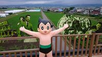Keren! Sawah di Jepang Ini Berbentuk Karakter Anime Hingga Audrey Hepburn