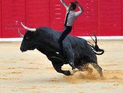 Meme Kocak Selebrasi Presiden Prancis di Piala Dunia