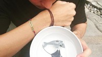  Mischa ini juga ikut gerakan pecinta hiu. Ia menyuarakan untuk tidak menjadikan sirip hiu sebagai makanan. Say NO shark fin soup! Foto: instagram @mischach