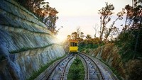 Terdapat pula kereta yang akan membawa anda berkeliling resort bekas banguan tua ini Funicular funicular pertama dan unik di Vietnam membawa Anda ke DAmour Flower Garden, Debay Ancient Wine Cellar dan Linh Ung Pagoda - tujuan yang tidak dapat dibicarakan dalam tur Ba Na. Tourindanang.com/guide/ba-na-hill-station.